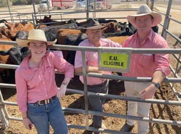 Strathalbyn Saleyards