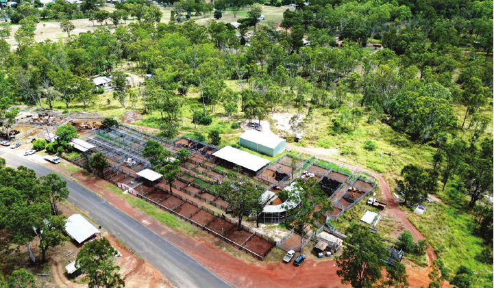 Eidsvold Saleyards
