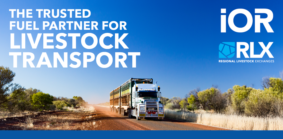 Inverell Livestock Exchange (IRLX)