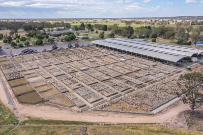 Naracoorte Regional Livestock Exchange (NRLE)