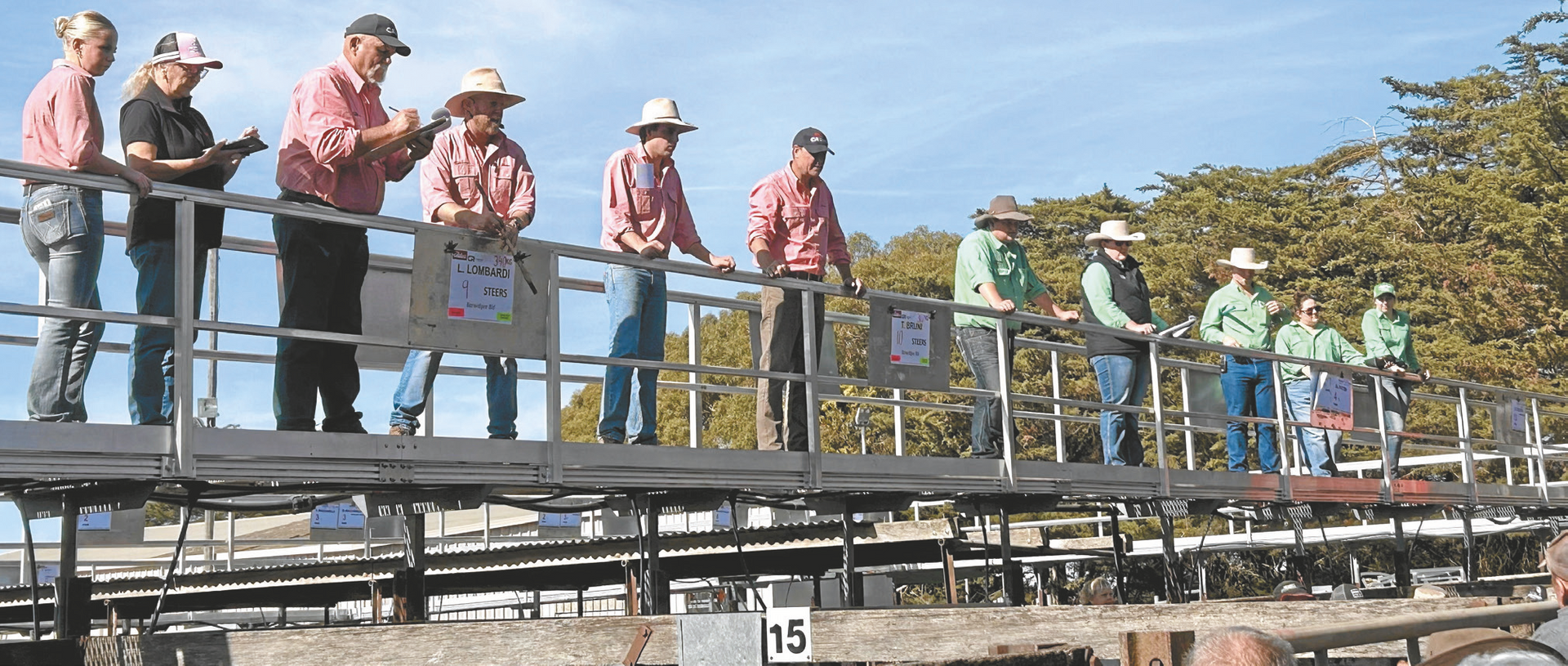 Kyneton Livestock Saleyards