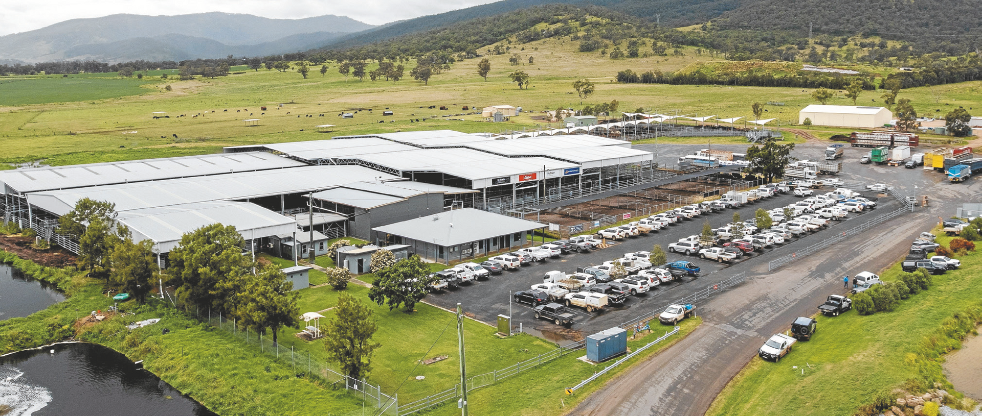 Scone Regional Livestock Selling Centre