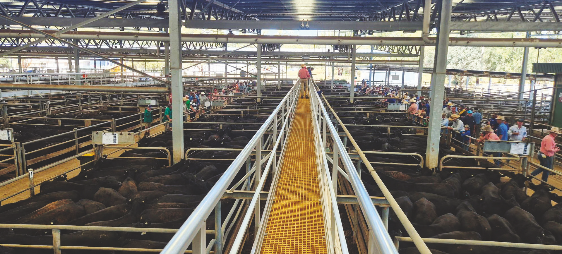 Wangaratta Livestock Exchange