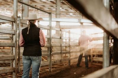 Deniliquin Saleyards