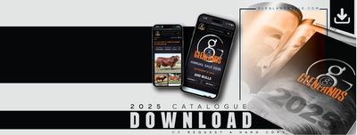 Glenlands Droughtmasters