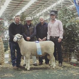 Springwaters Poll Dorset