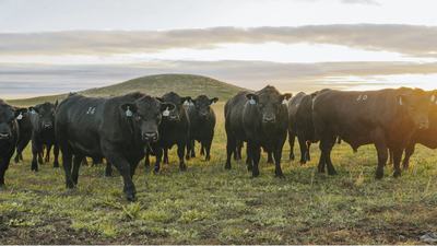 Hazeldean Angus