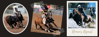 Baymak Pastoral Company