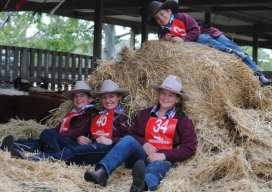 Weetalabah Cattle Services Herefords