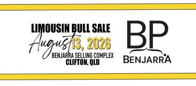 Benjarra Limousins