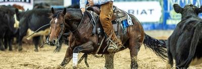 Yulgilbar Quarter Horses
