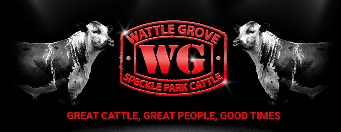 Wattle Grove Speckle Park