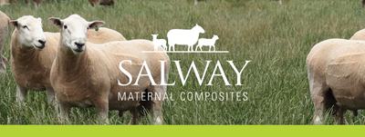 Salway Maternal Composites