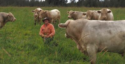 Glenlea Beef