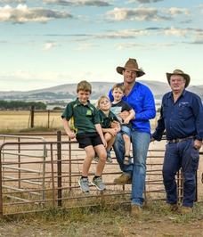Collandra North Poll Merino Stud