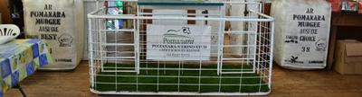 Pomanara Merino Stud