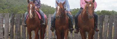 Hartmor Quarter Horse Stud