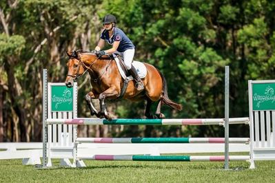 Kunderang Heritage Stock Horses