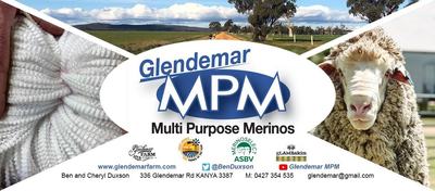 Glendemar Poll Merino Stud