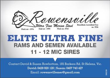 Rowensville Ultra Fine Merino Stud