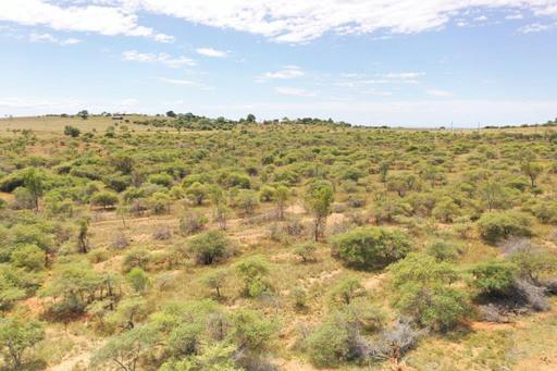 Great Britain Road, Charters Towers QLD 4820