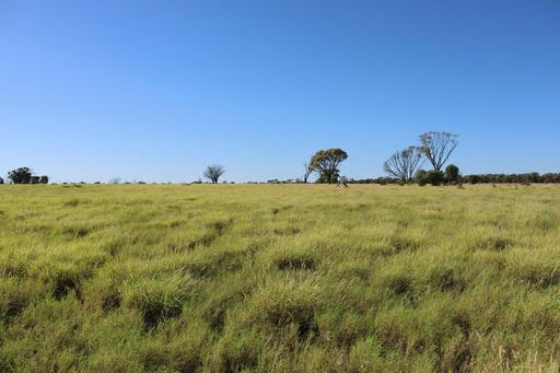 1468 Benlidi Idalia Road, Blackall QLD 4472