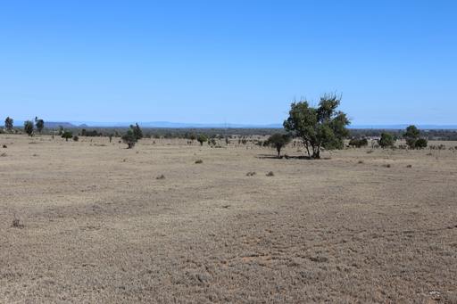 Blackwater Rolleston Road, Rolleston QLD 4702