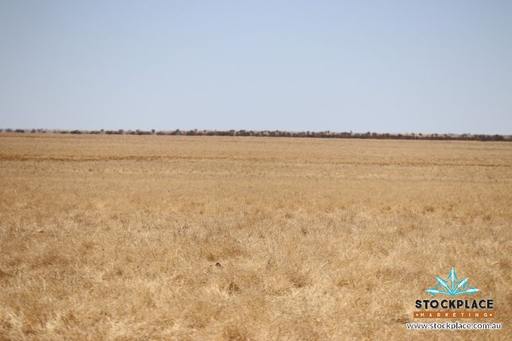 Richmond–Winton Highway, Richmond QLD 4822