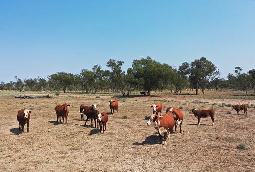 1582 Southampton Road&comma;, St George QLD 4487