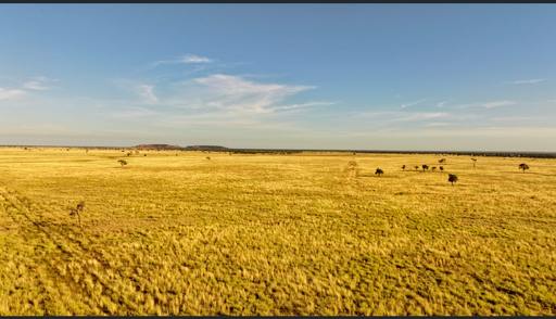 8339 Ilfracombe-Aramac Road, Aramac QLD 4726