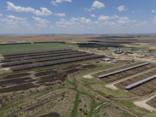 Myola Feedlot, North Star NSW 2408