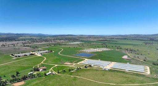 Tharri Farm, Manilla NSW 2346