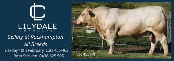 Rockhampton All Breeds sale