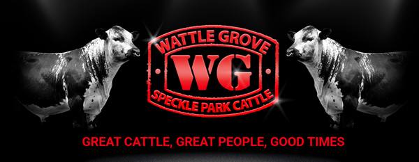 Wattle Grove Annual Sale