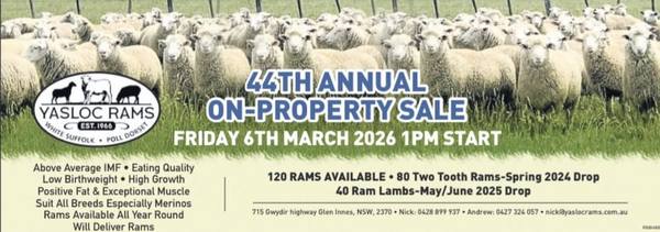 Yasloc Rams - 44th Annual On- Property Sale