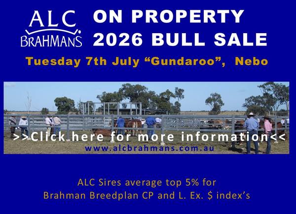 ALC On-Property 2026 Bull Sale