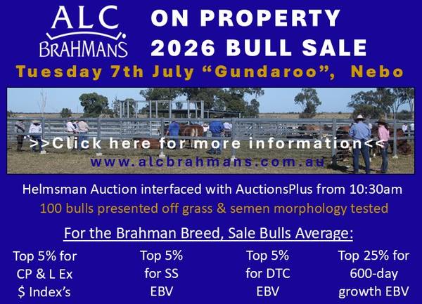 ALC On-Property 2026 Bull Sale