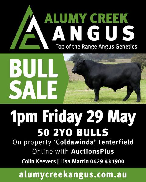 2026 ALUMY CREEK ANGUS BULL SALE
