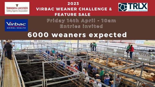 Virbac Weaner Challenge & Feature Sale – 6,000 Head Cattle