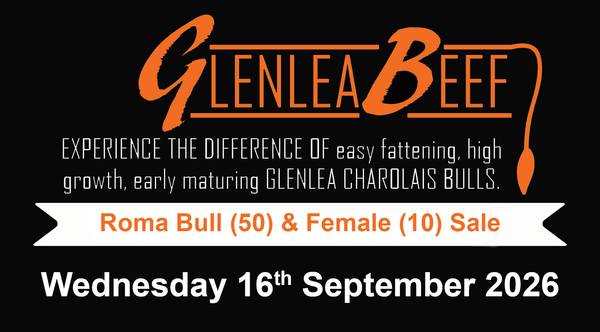 Glenlea Beef Roma Bull & Female Sale — 60 Head Charolais Cattle