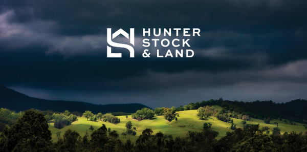 TLA Tamworth Feature Weaner & Store Cattle Sale – 6,000 Head Cattle