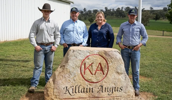 2026 Killain Angus Production Bull Sale