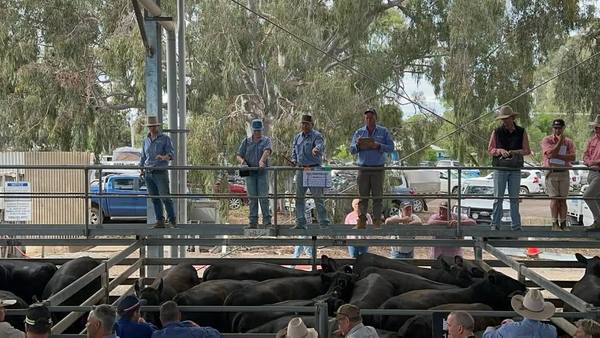 North East Store Sale Centre Euroa Store Sale