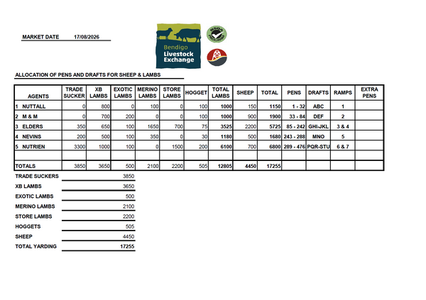 Weekly Sheep & Lamb Sale – 17,255 Head