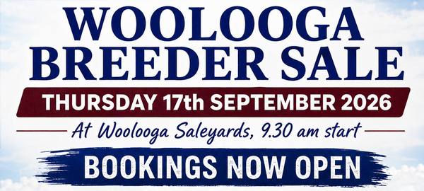 WOOLOOGA FEMALE BREEDER SALE - THURSDAY 17th SEPTEMBER 2026