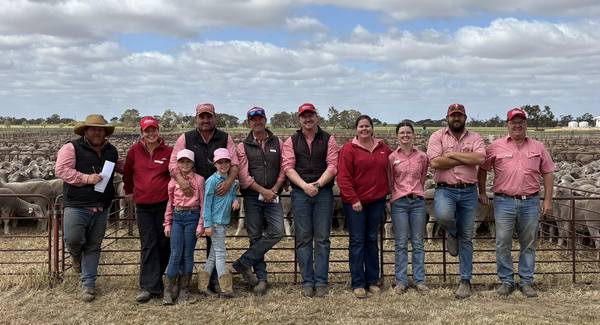 Elders & Nutrien Ag Solutions Lameroo Off-Shears Sale – 10,000 Breeding Ewes & Lambs