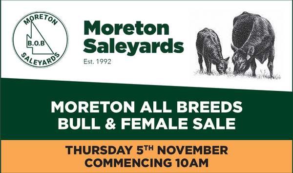 Moreton All Breeds Bull & Female Sale