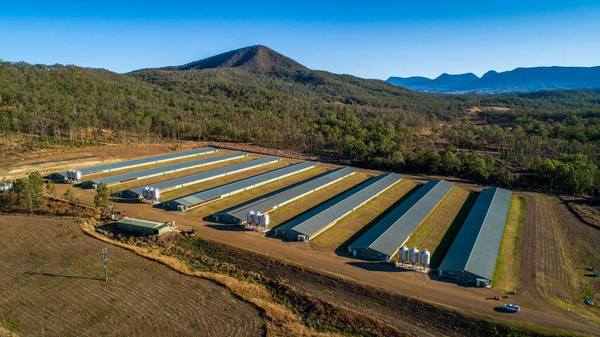 Aratula Broiler Farm, Aratula QLD 4309