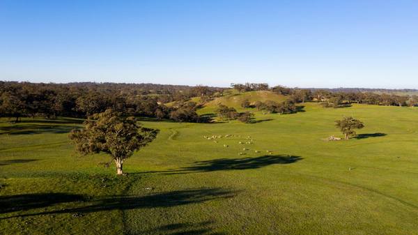 3872 Pipeline Road , Moculta SA 5353