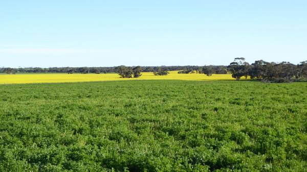 ***Under Offer***829 Red Bluff Road, Bordertown SA 5268